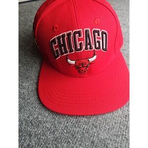 Chicago Bulls Pro Standard Snapback Hat‎ City Flag 6x  NBA Champions